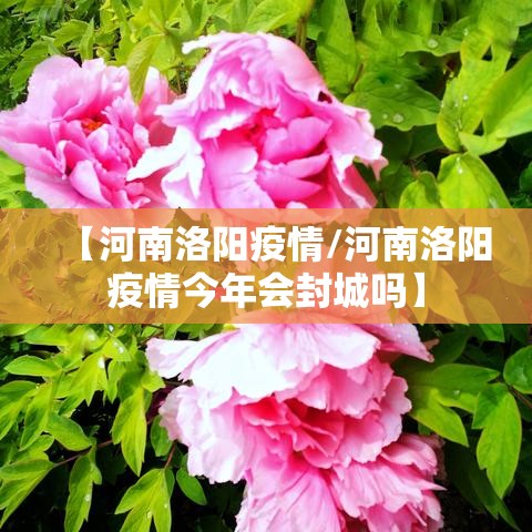 【河南洛阳疫情/河南洛阳疫情今年会封城吗】 【河南洛阳疫情/河南洛阳疫情今年会封城吗】
