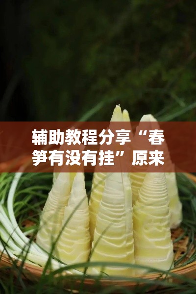 辅助教程分享“春笋有没有挂”原来确实有挂