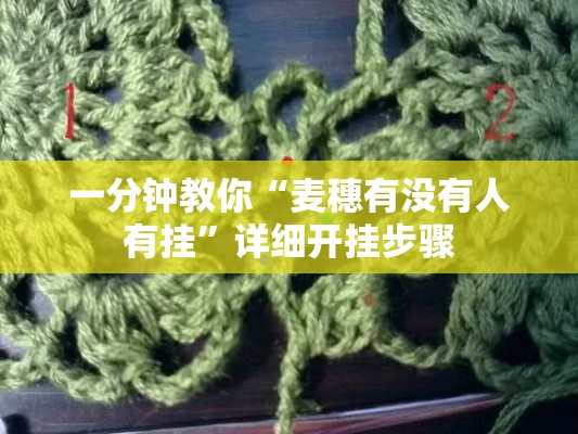 一分钟教你“麦穗有没有人有挂”详细开挂步骤