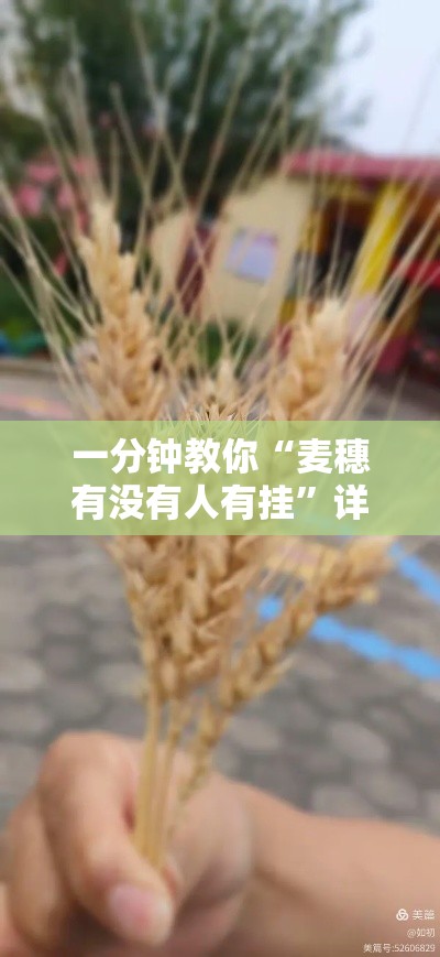 一分钟教你“麦穗有没有人有挂	”详细开挂步骤
