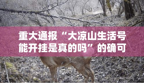 重大通报“大凉山生活号能开挂是真的吗”的确可以开挂