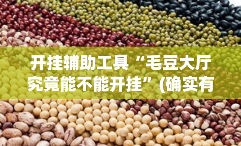 开挂辅助工具“毛豆大厅究竟能不能开挂	”(确实有挂)
