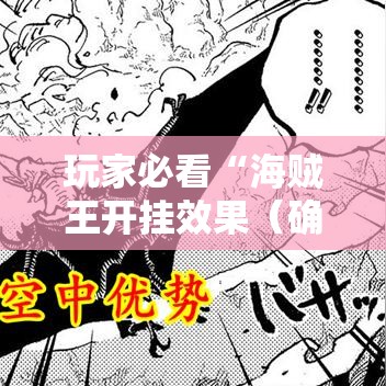 玩家必看“海贼王开挂效果(确实有挂) 玩家必看“海贼王开挂效果(确实有挂)