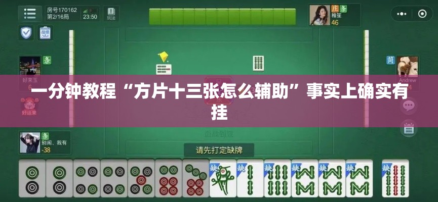 一分钟教程“方片十三张怎么辅助”事实上确实有挂