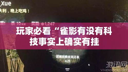 玩家必看“雀影有没有科技事实上确实有挂 玩家必看“雀影有没有科技事实上确实有挂