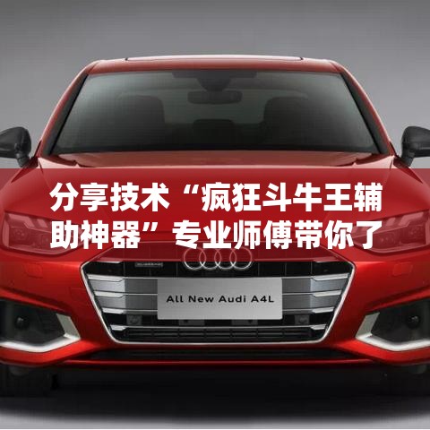 分享技术“疯狂斗牛王辅助神器”专业师傅带你了解
