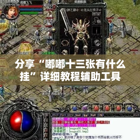 分享“嘟嘟十三张有什么挂”详细教程辅助工具