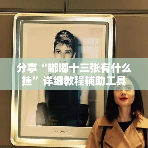 分享“嘟嘟十三张有什么挂”详细教程辅助工具