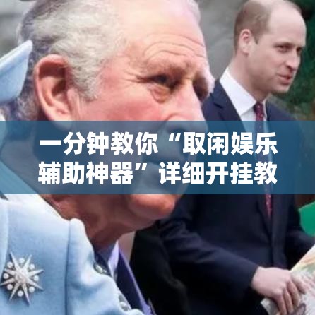 一分钟教你“取闲娱乐辅助神器”详细开挂教材