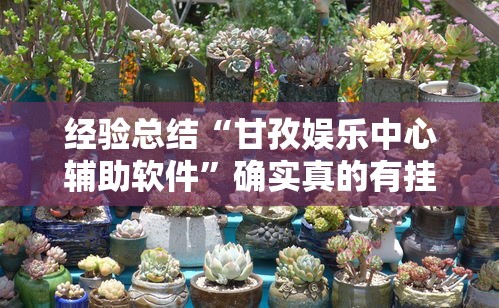 经验总结“甘孜娱乐中心辅助软件”确实真的有挂