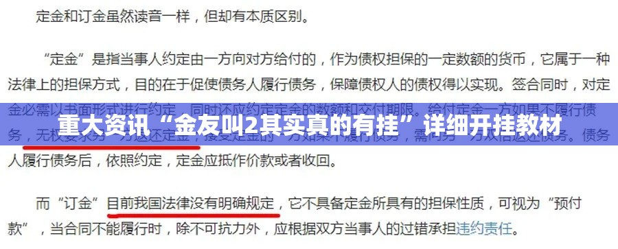 重大资讯“金友叫2其实真的有挂”详细开挂教材