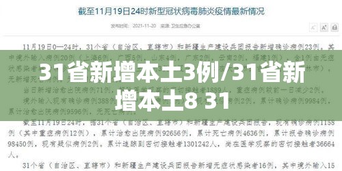 31省新增本土3例/31省新增本土8 31