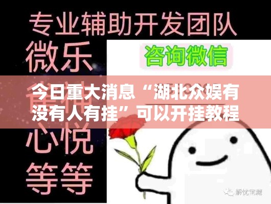 今日重大消息“湖北众娱有没有人有挂”可以开挂教程