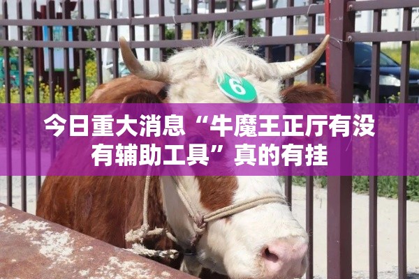今日重大消息“牛魔王正厅有没有辅助工具”真的有挂