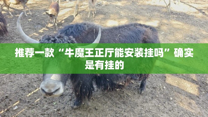 推荐一款“牛魔王正厅能安装挂吗”确实是有挂的