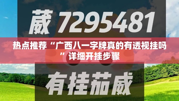 热点推荐“广西八一字牌真的有透视挂吗”详细开挂步骤