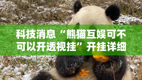 科技消息“熊猫互娱可不可以开透视挂	”开挂详细方法