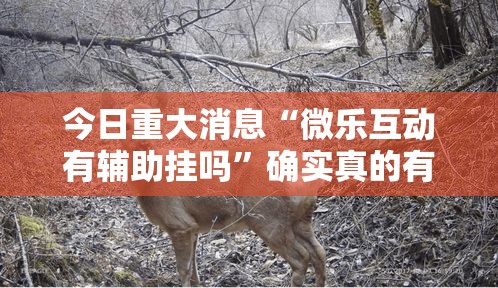今日重大消息“微乐互动有辅助挂吗”确实真的有挂