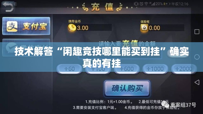 技术解答“闲趣竞技哪里能买到挂”确实真的有挂
