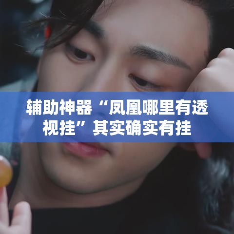 辅助神器“凤凰哪里有透视挂”其实确实有挂