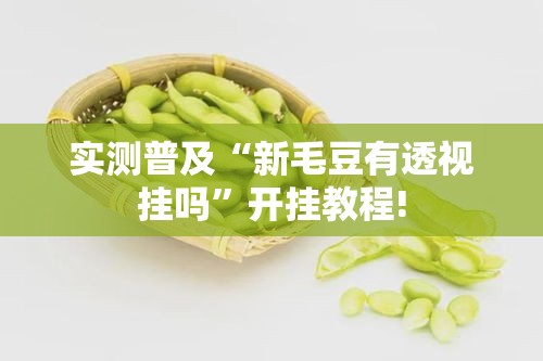 实测普及“新毛豆有透视挂吗”开挂教程!