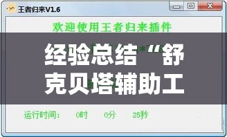 经验总结“舒克贝塔辅助工具”可以开挂软件