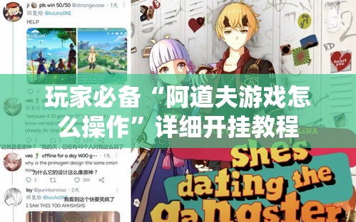 玩家必备“阿道夫游戏怎么操作”详细开挂教程