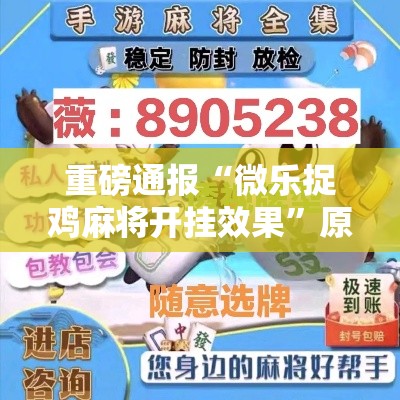 重磅通报“微乐捉鸡麻将开挂效果	”原来真的有挂