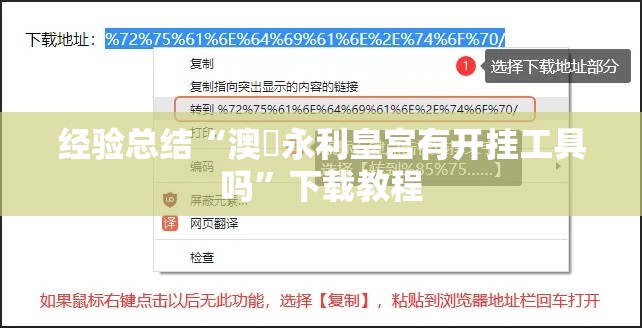 经验总结“澳門永利皇宫有开挂工具吗”下载教程