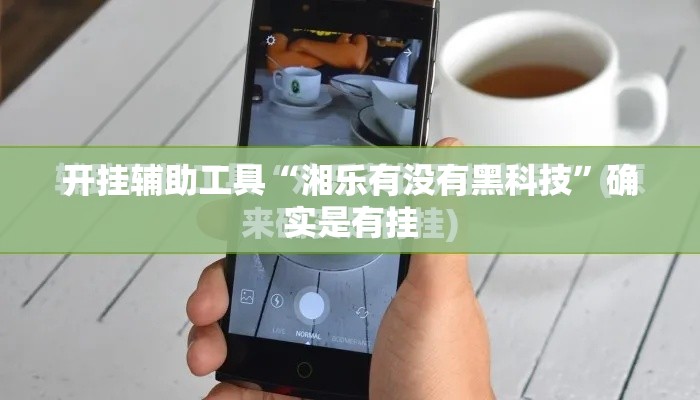 开挂辅助工具“湘乐有没有黑科技”确实是有挂