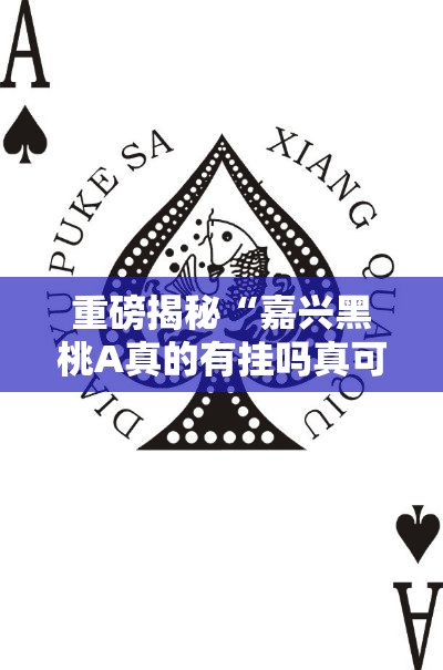 重磅揭秘“嘉兴黑桃A真的有挂吗真可以装挂 重磅揭秘“嘉兴黑桃A真的有挂吗真可以装挂