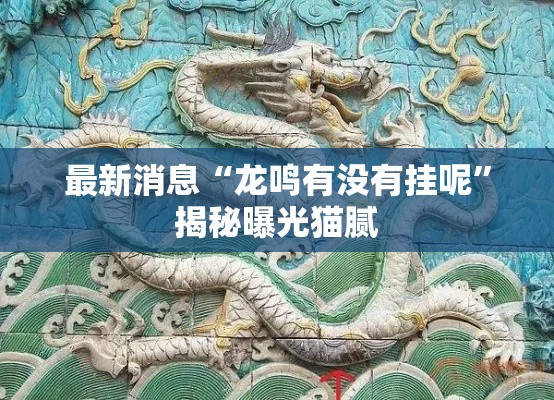 最新消息“龙鸣有没有挂呢”揭秘曝光猫腻