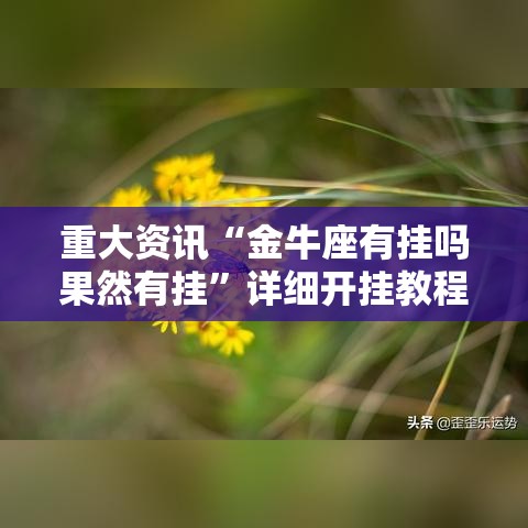 重大资讯“金牛座有挂吗果然有挂”详细开挂教程