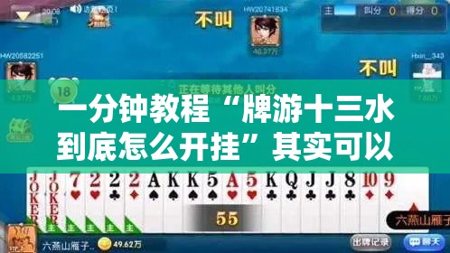 一分钟教程“牌游十三水到底怎么开挂”其实可以装挂