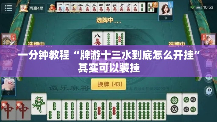 一分钟教程“牌游十三水到底怎么开挂	”其实可以装挂