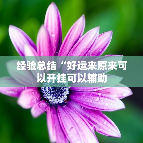 经验总结“好运来原来可以开挂可以辅助