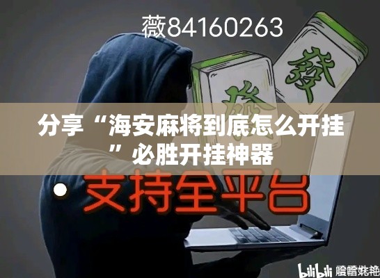 分享“海安麻将到底怎么开挂”必胜开挂神器