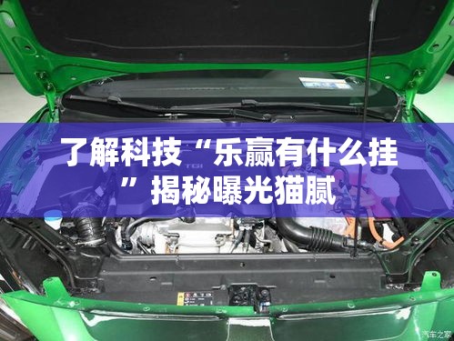 了解科技“乐赢有什么挂”揭秘曝光猫腻