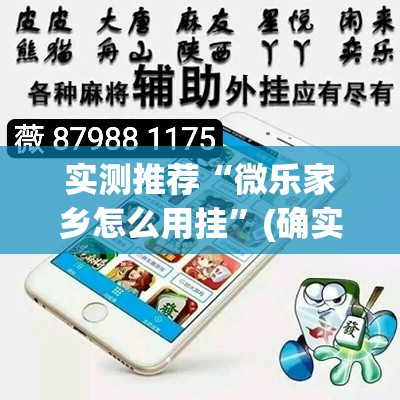 实测推荐“微乐家乡怎么用挂”(确实有挂)