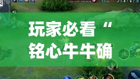 玩家必看“铭心牛牛确实可以开挂吗”(确实有挂)