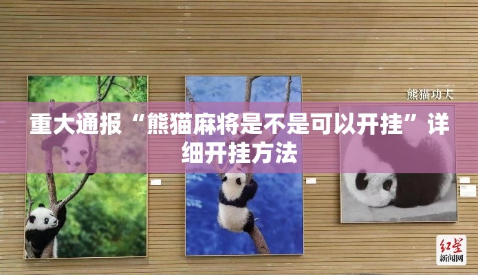 重大通报“熊猫麻将是不是可以开挂”详细开挂方法