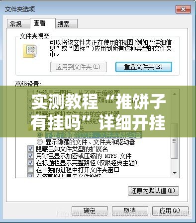 实测教程“推饼子有挂吗	”详细开挂步骤
