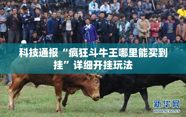 科技通报“疯狂斗牛王哪里能买到挂”详细开挂玩法