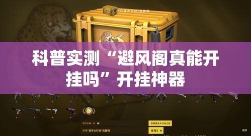 科普实测“避风阁真能开挂吗”开挂神器