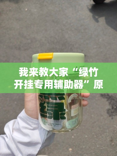 我来教大家“绿竹开挂专用辅助器”原来确实有挂