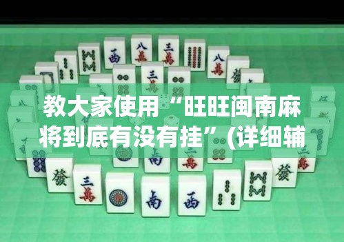 教大家使用“旺旺闽南麻将到底有没有挂”(详细辅助脚本)