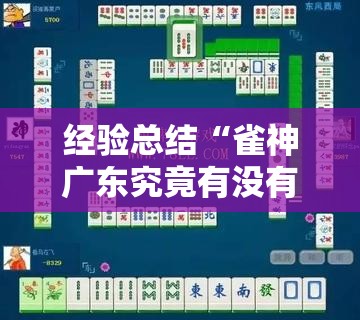 经验总结“雀神广东究竟有没有挂”可以辅助