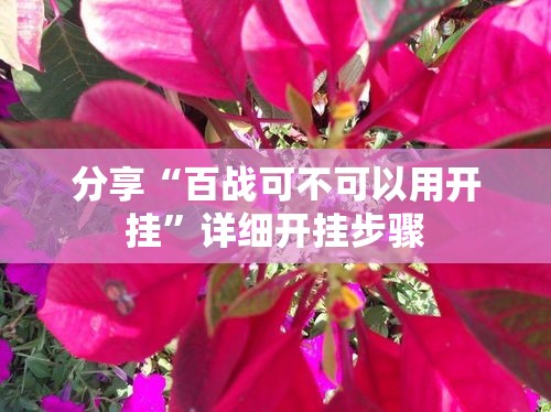 分享“百战可不可以用开挂”详细开挂步骤