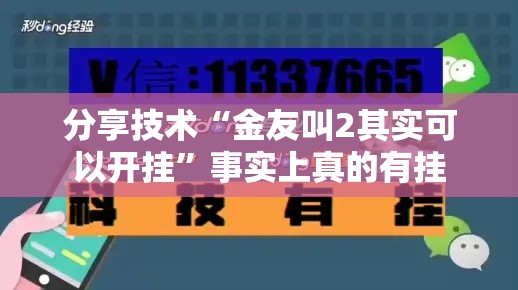 分享技术“金友叫2其实可以开挂”事实上真的有挂