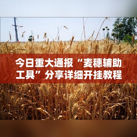 今日重大通报“麦穗辅助工具”分享详细开挂教程